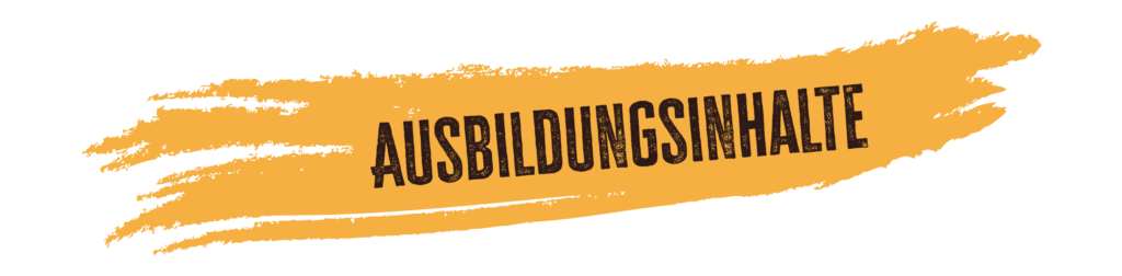 ausbildungsinhalte