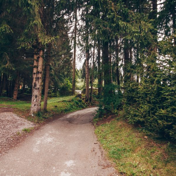 Campingplatz Thüringen - Waldweg